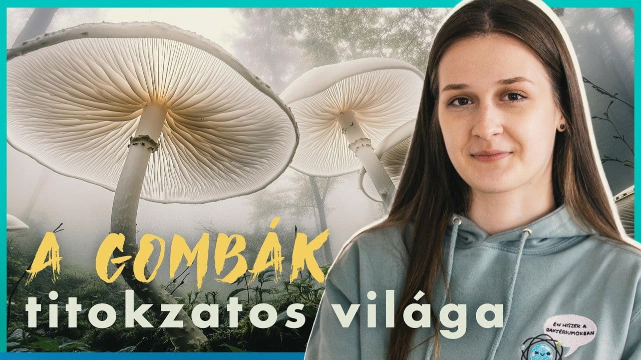 A HÁLÓZAT, ami mindent átsző a LÁBUNK ALATT