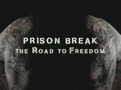 The Road to Freedom