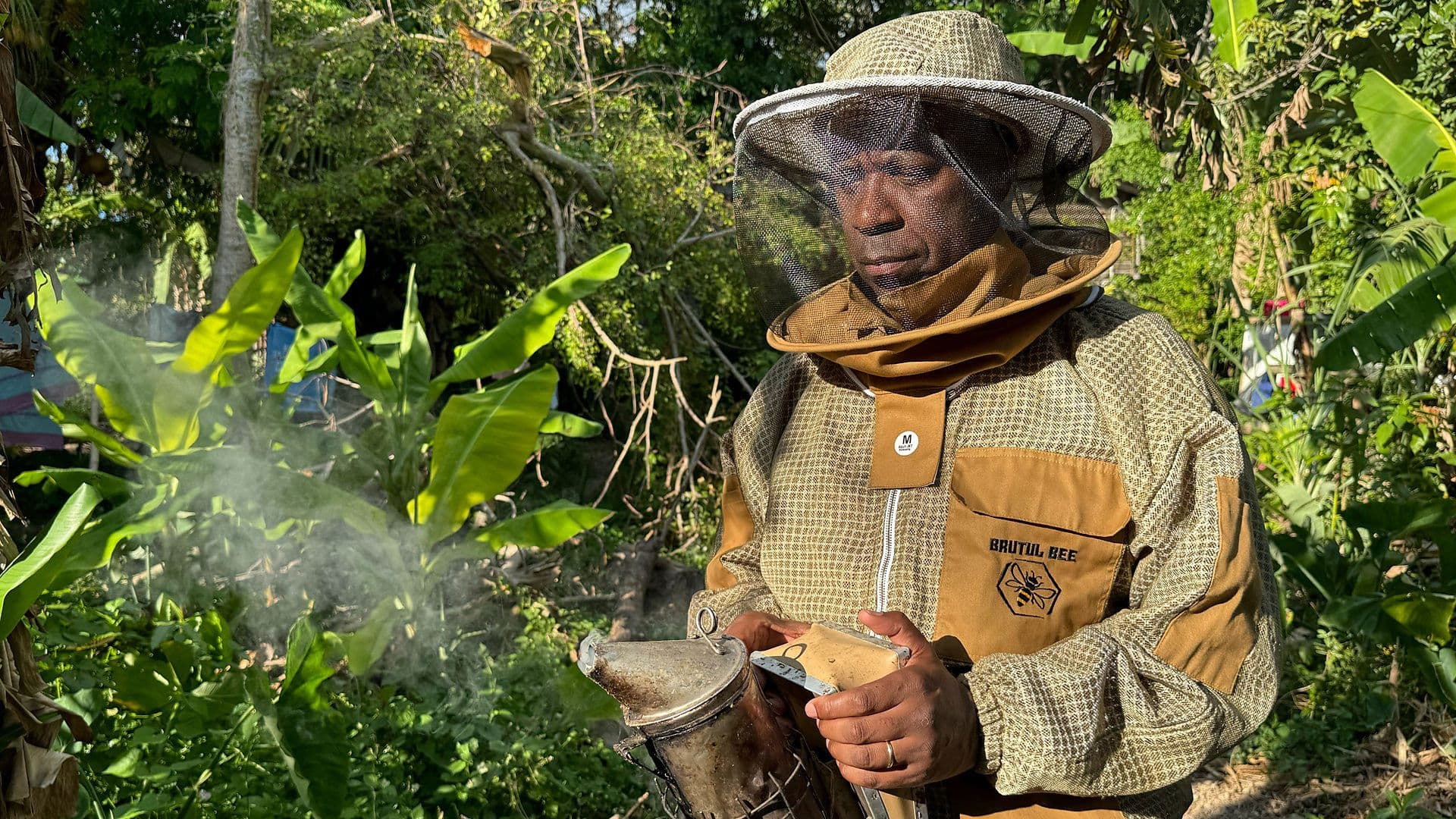 Westmoreland - Jamaica