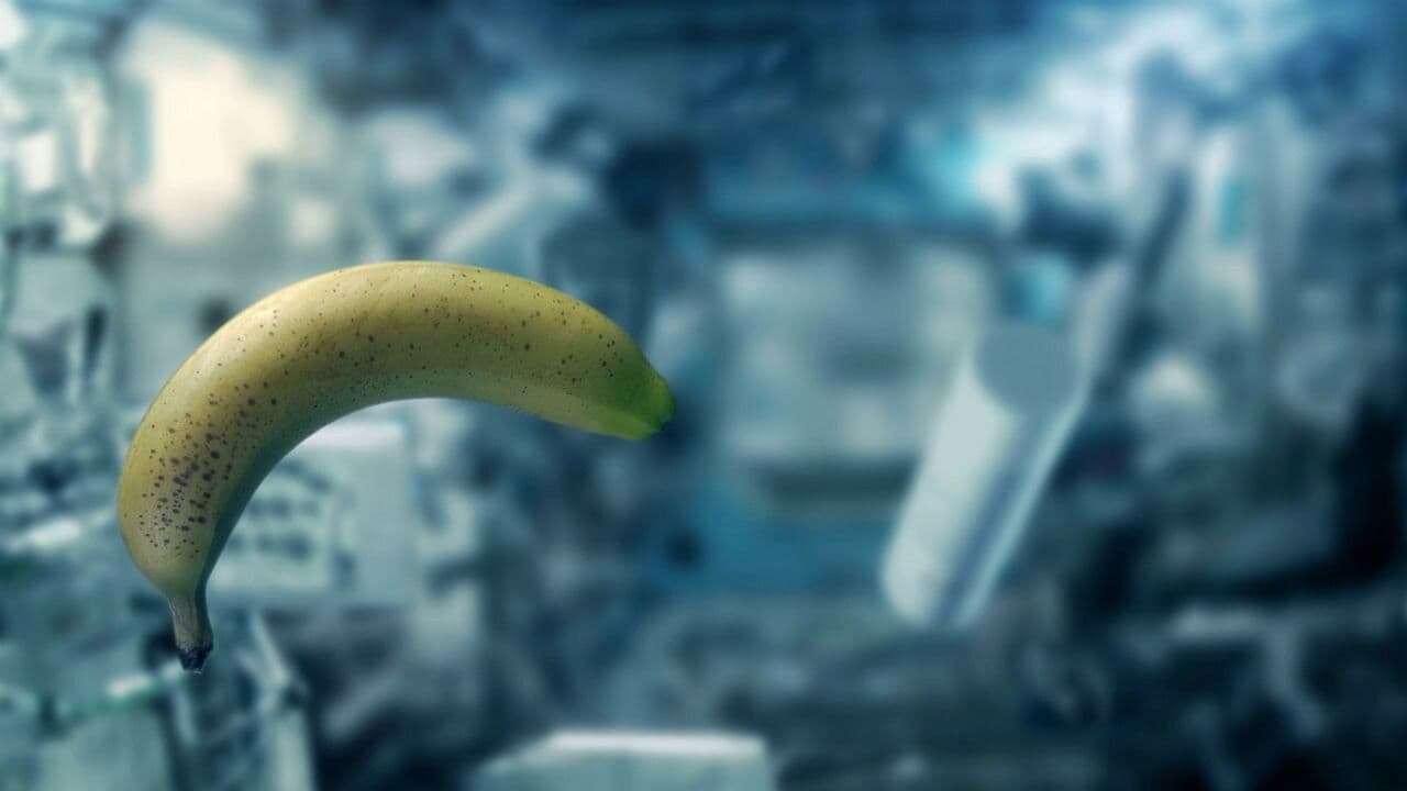 Perché la Terra non si rompe