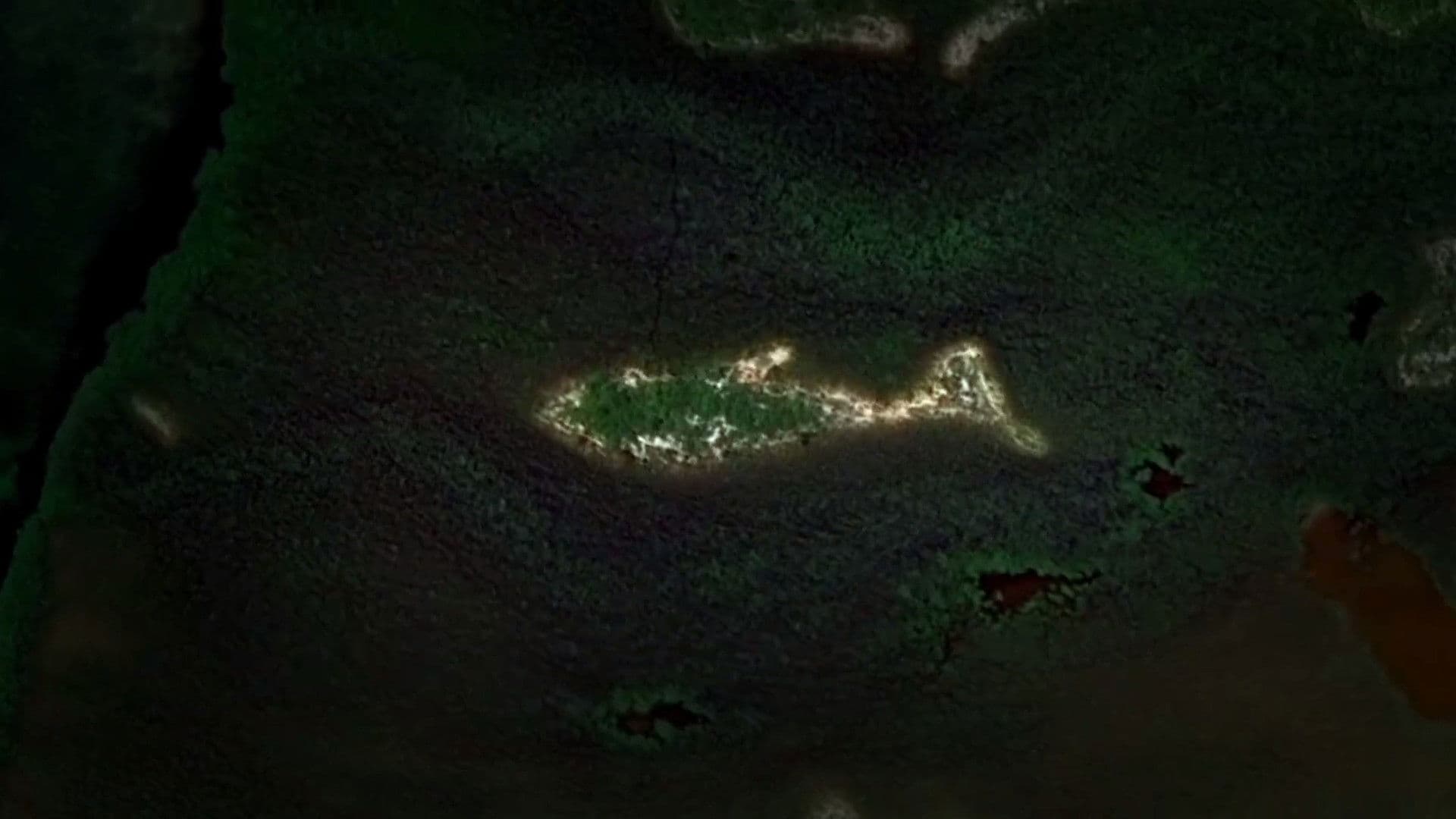 Fountain of Youth Found?