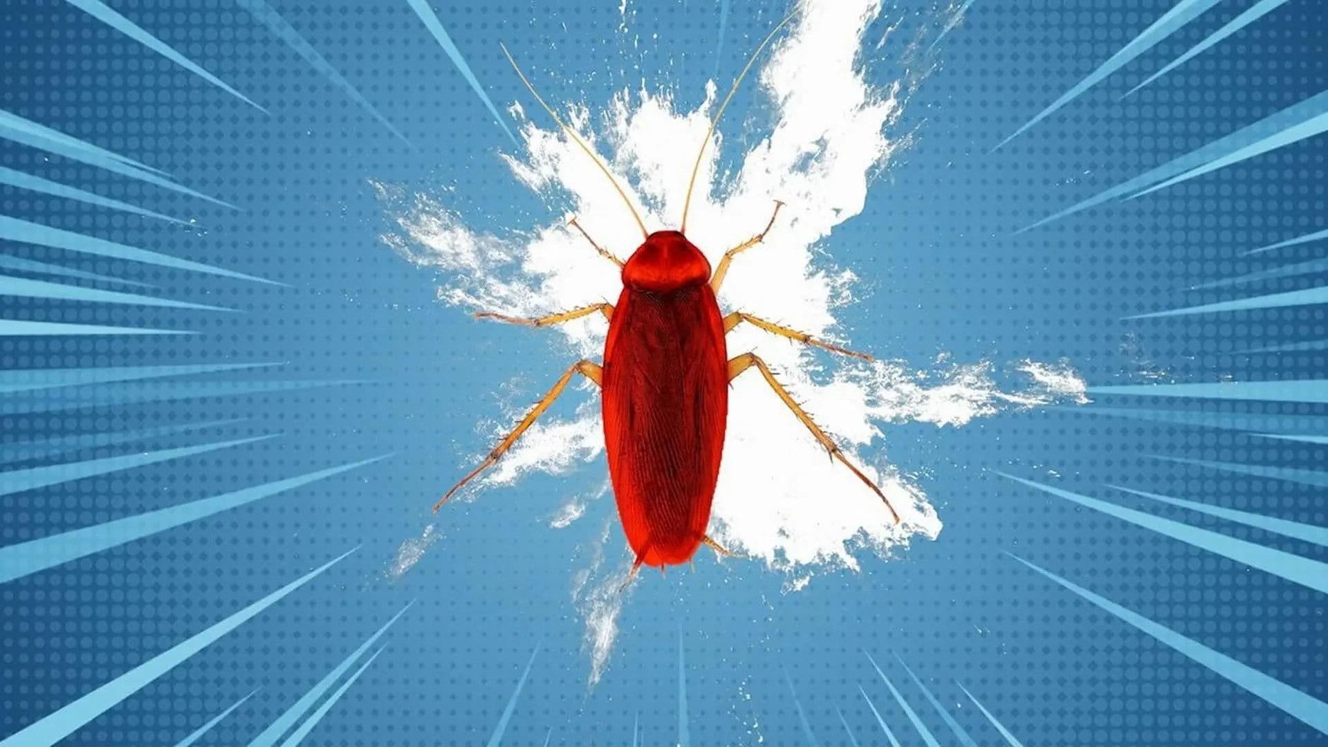 Headless Cockroaches & Butt Breathing