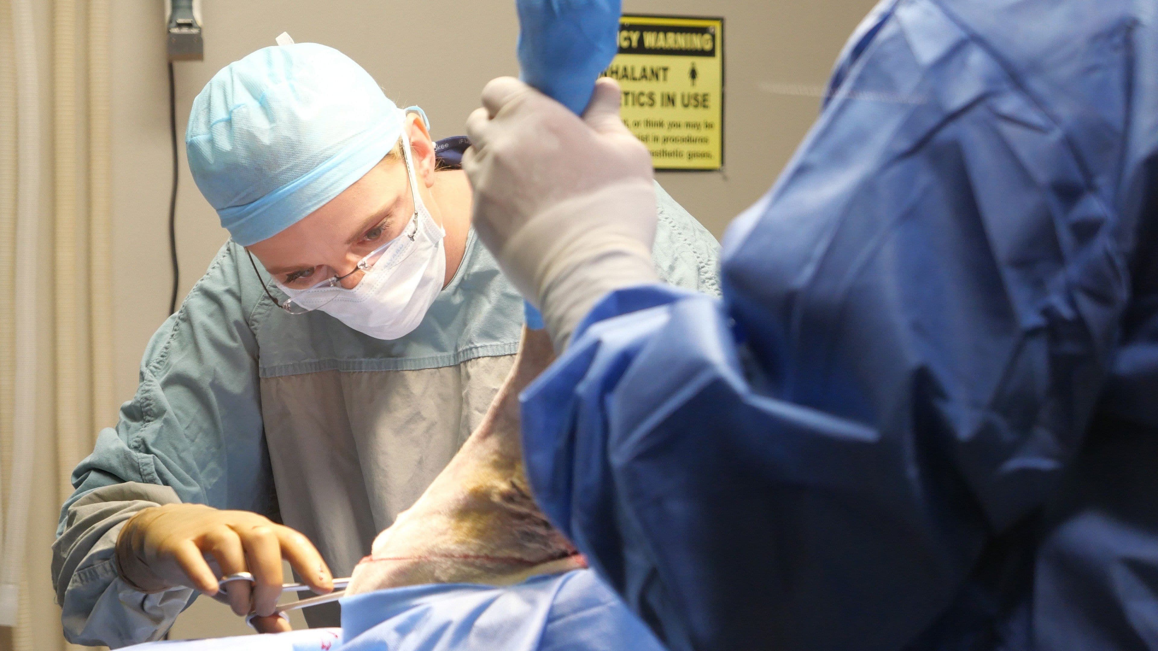 The Eagle Has Landed