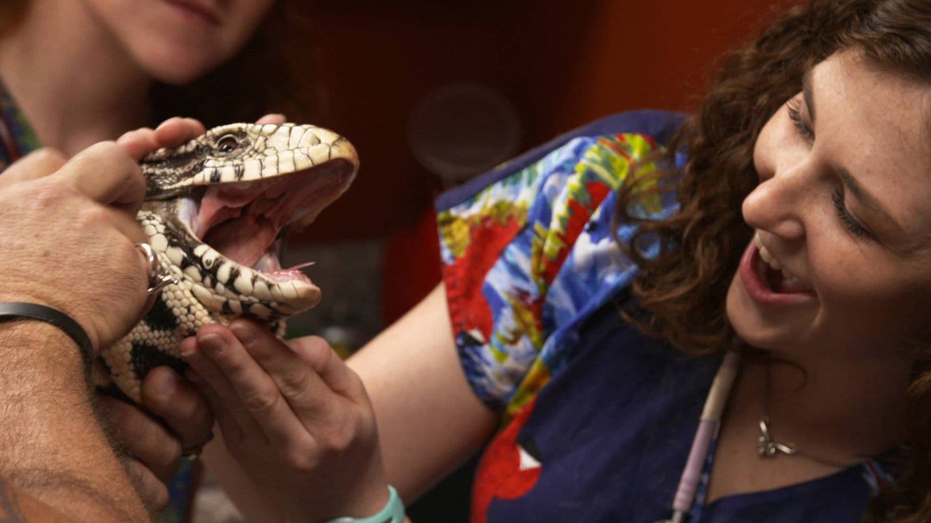 Snake, Rattle & Roll